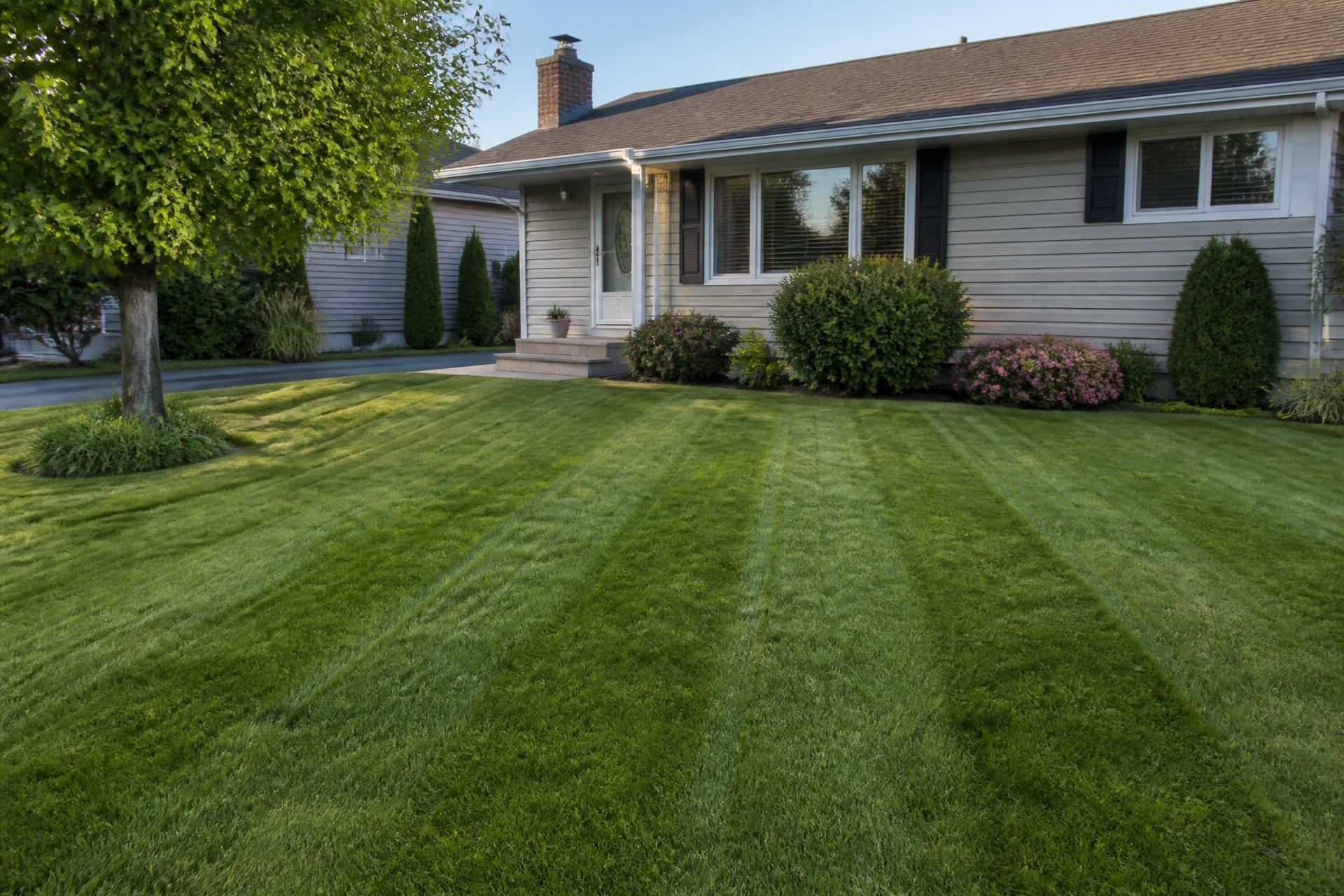 Freshly mowed residential front lawn with tidy garden beds